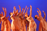 2008-2009 MDC archive