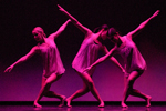 An Afternoon of Collaborative Dance