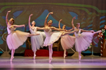 Illinois Youth Dance Theatre