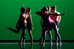 Midwest Dance Collective
